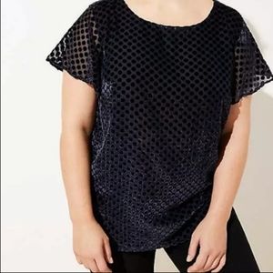 LOFT Plus Navy Velvet Polka Dot Top